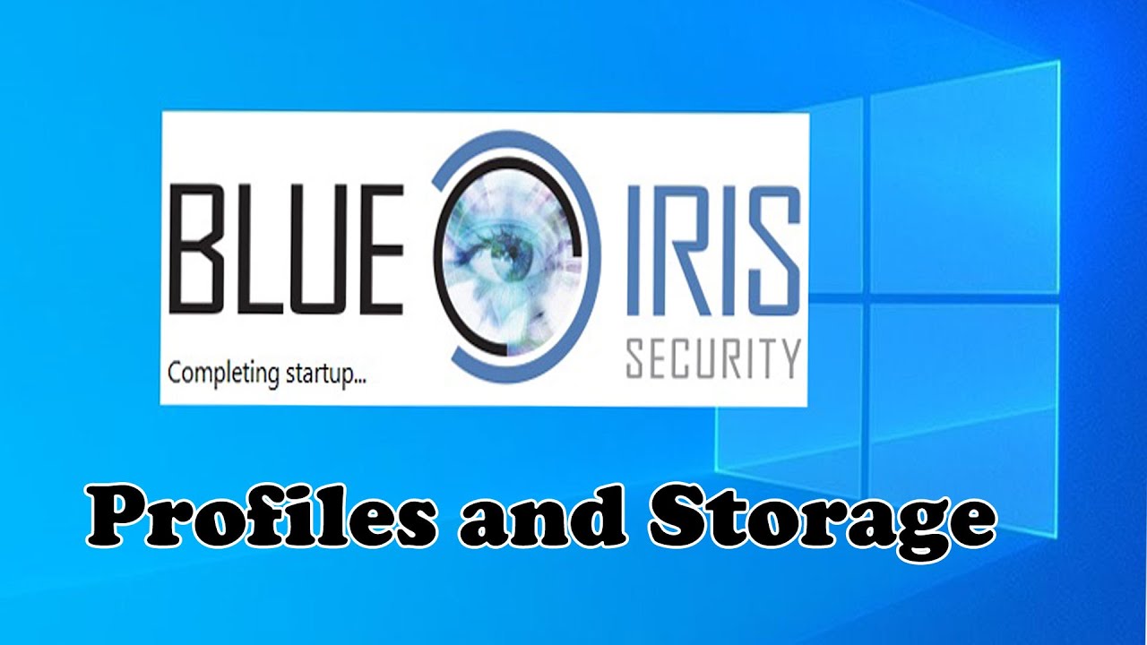 Профиль Blue Iris и пример использования хранилища данных