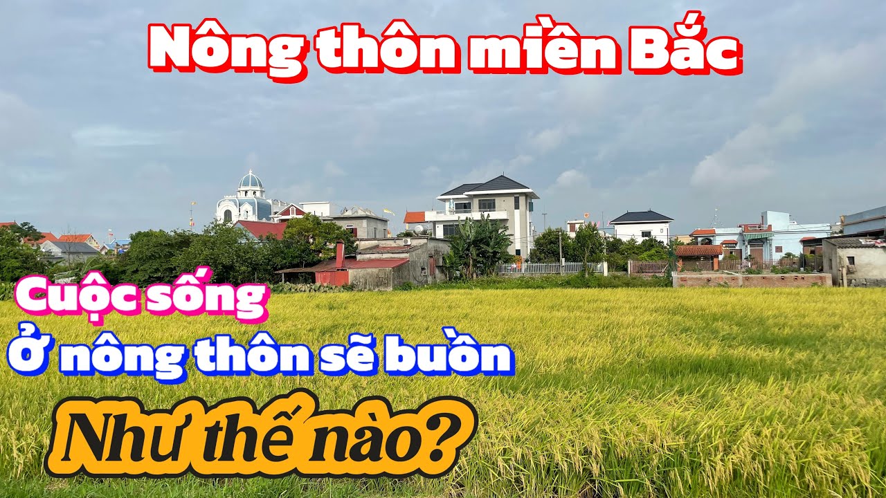 Cuộc sống ở nông thôn sẽ buồn như thế nào | Nông thôn Nam Định |Chốn Quê TV