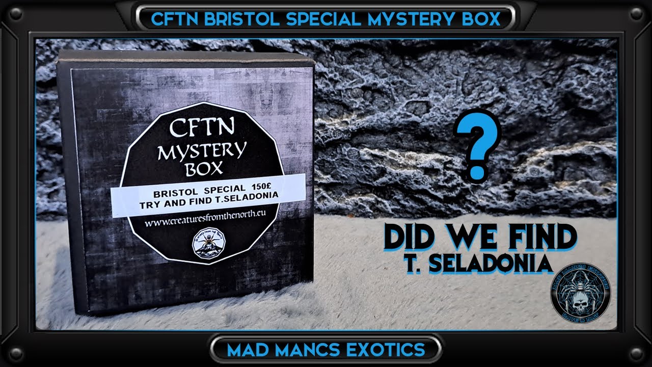 *UNBOXING* - CFTN £150 mystery box - Bristol invert show 2024