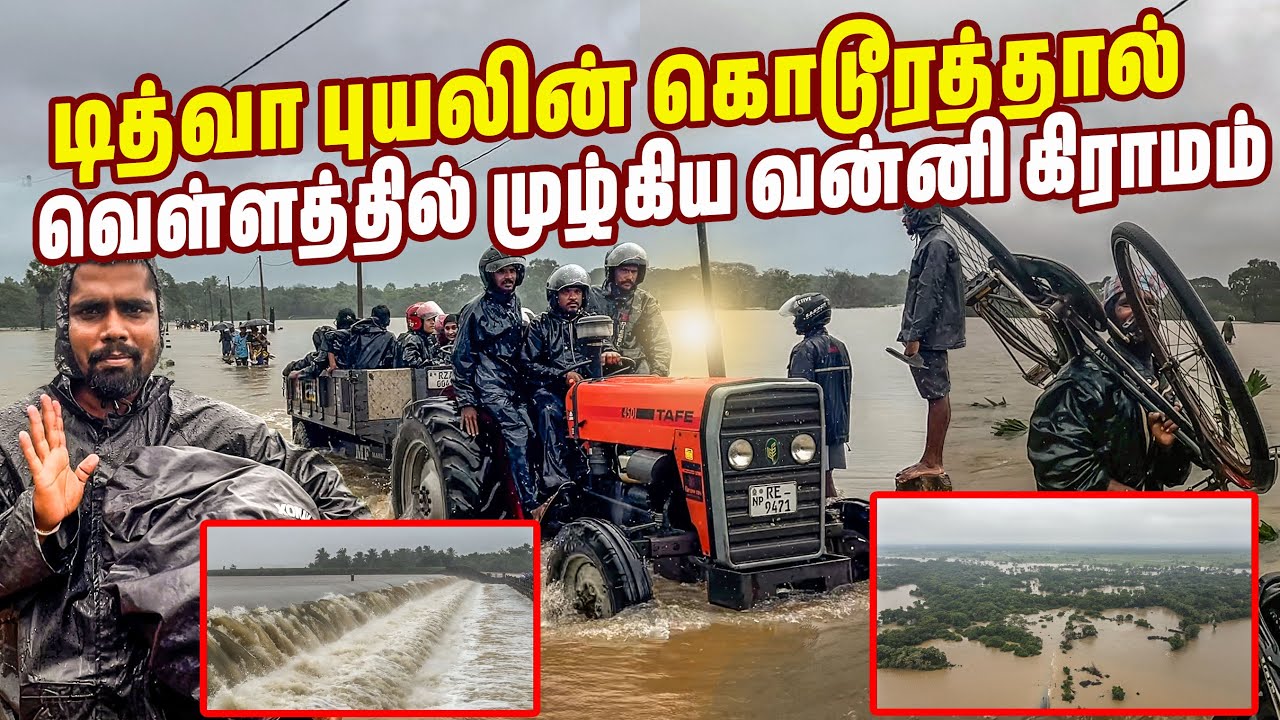 ஐயோ கடவுளே 😰| வெள்ளத்தில் மூழ்கிய வன்னி மக்களின் வீடுகள் | பாலியாறு  | Mullaitivu | #jesivlogs 