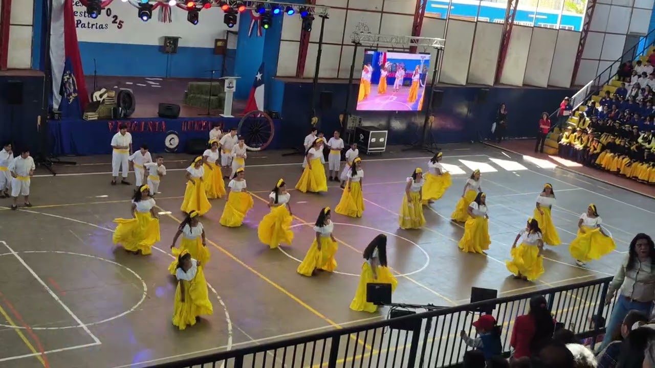 Danza afro, Gala folclorica Escuela Gabriela mistral, 5°A ~ 24-09-2025