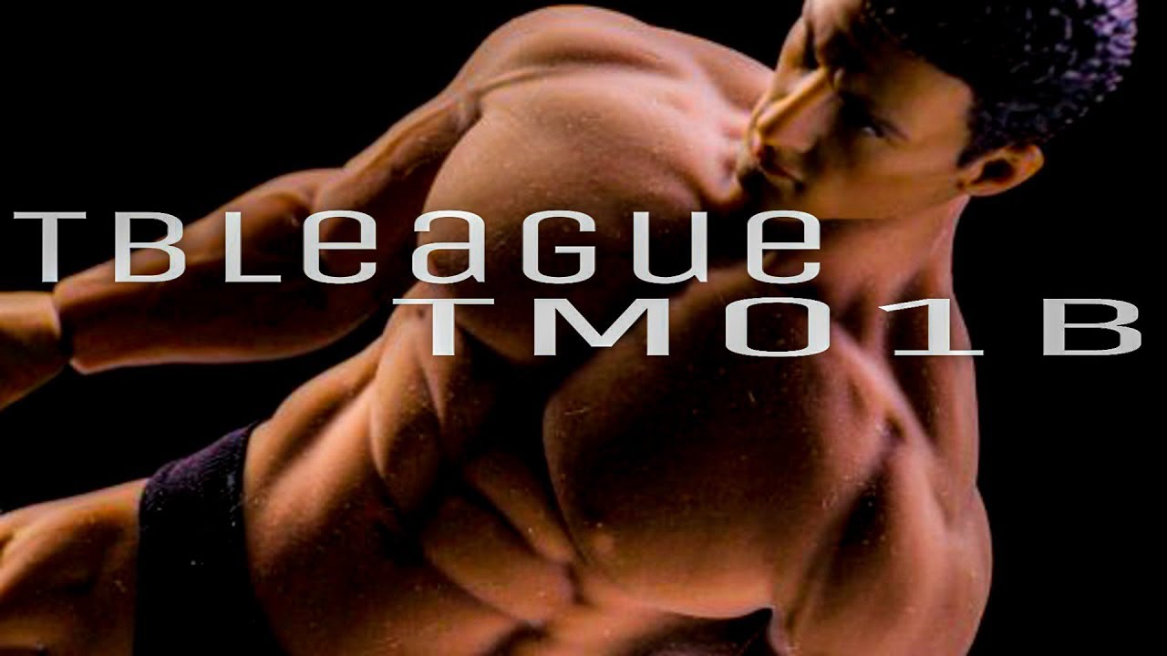 アクションフィギュアの可能性 TBLeague PH2019-TM01B