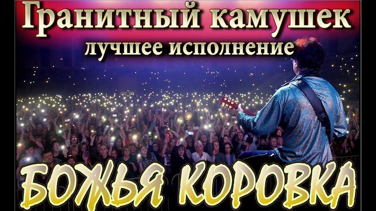 Божья коровка 