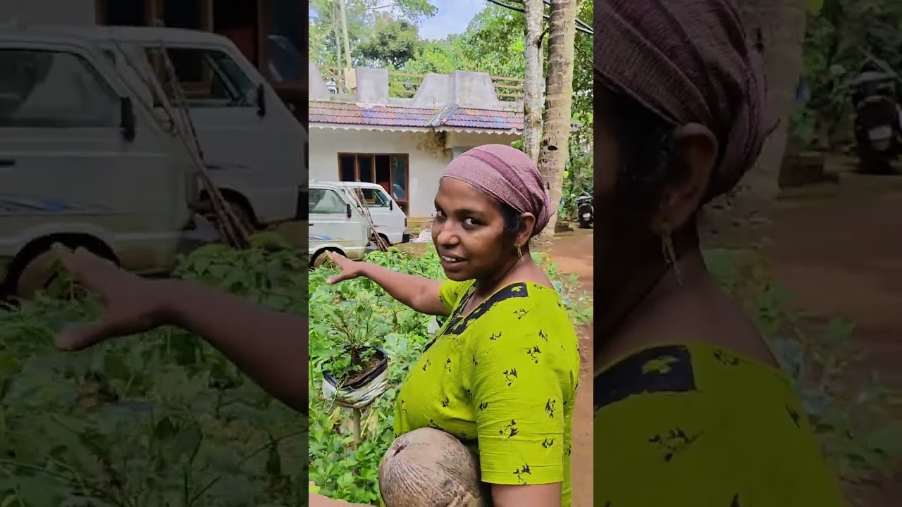 ഇത്രേമുള്ളു നമ്മുടെ ഫാം🤗🤗
