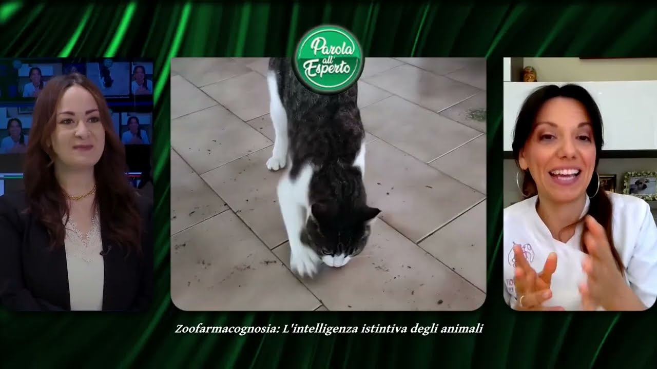 PAROLA ALL'ESPERTO | Zoofarmacognosia: l'intelligenza istintiva degli animali