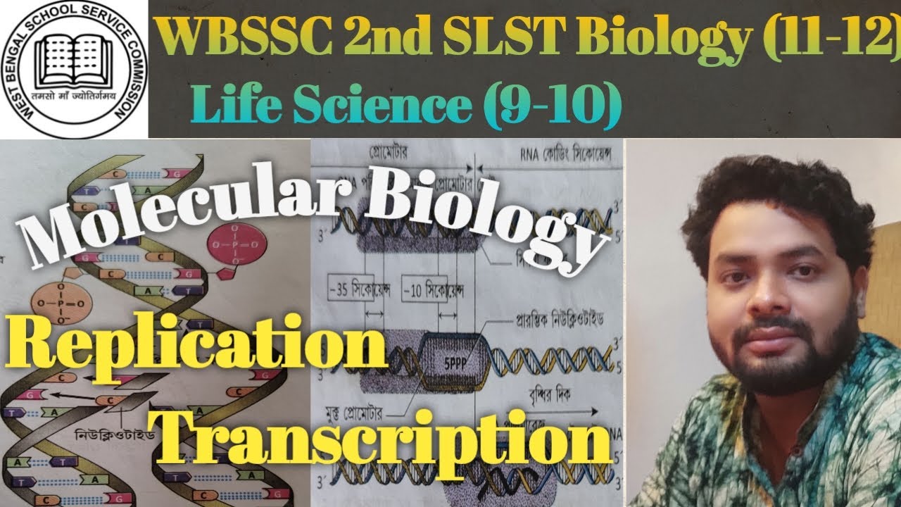 SLST Preparation । Molecular Biology। Replication & Transcription #slst #slst_preparation #slstnews