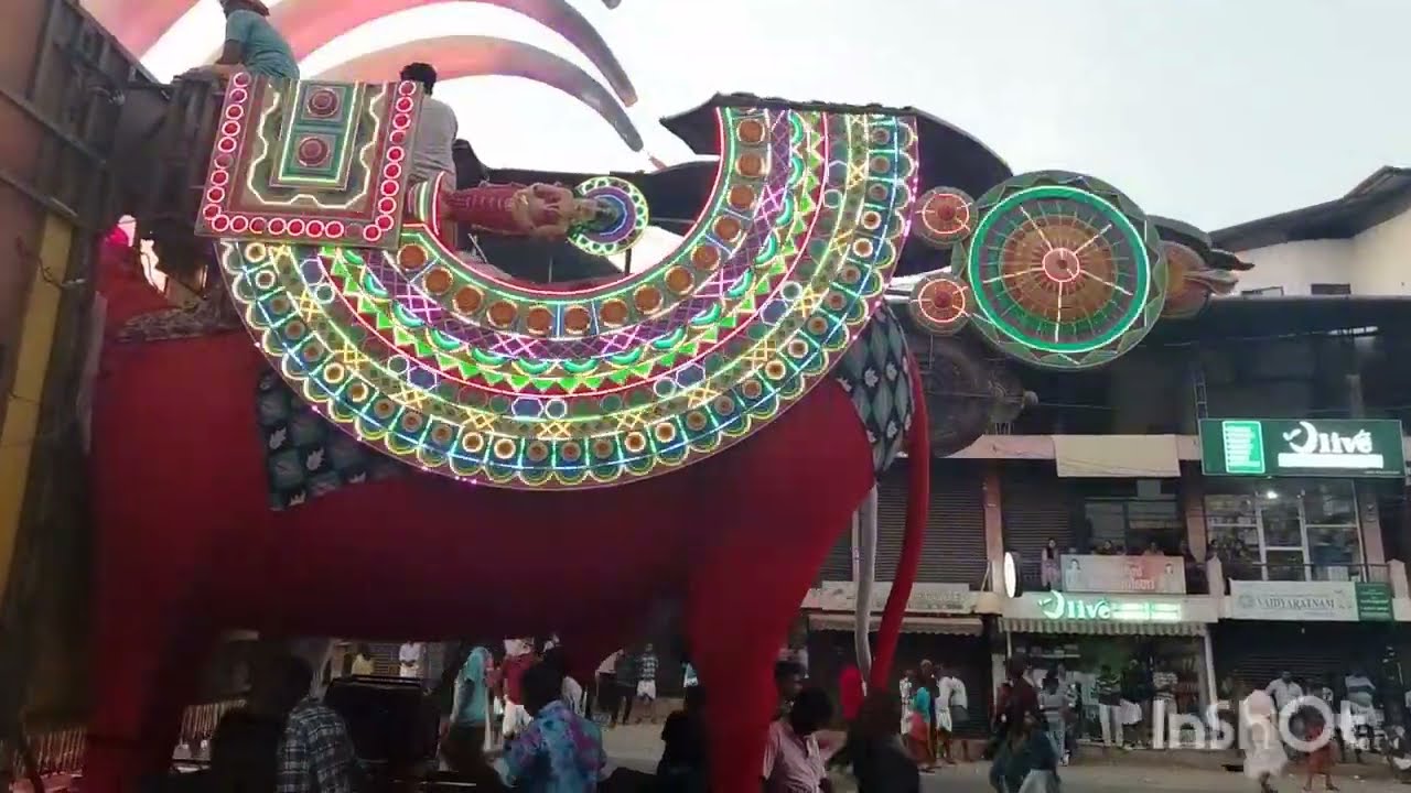 ചേർപ്പുളശേരി പുത്തനാലിക്കൽ     കാള വേല.12.2.2025