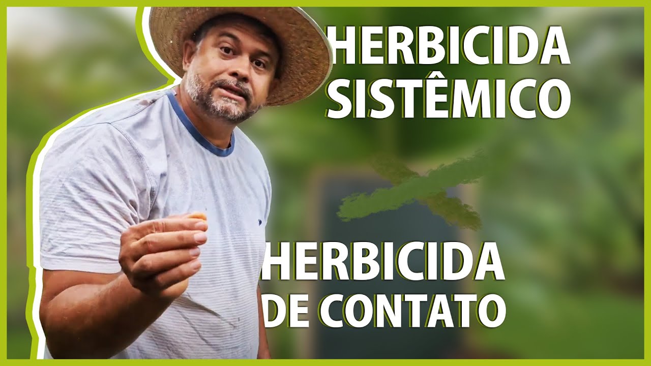 Como os herbicida agem no controle do mato.