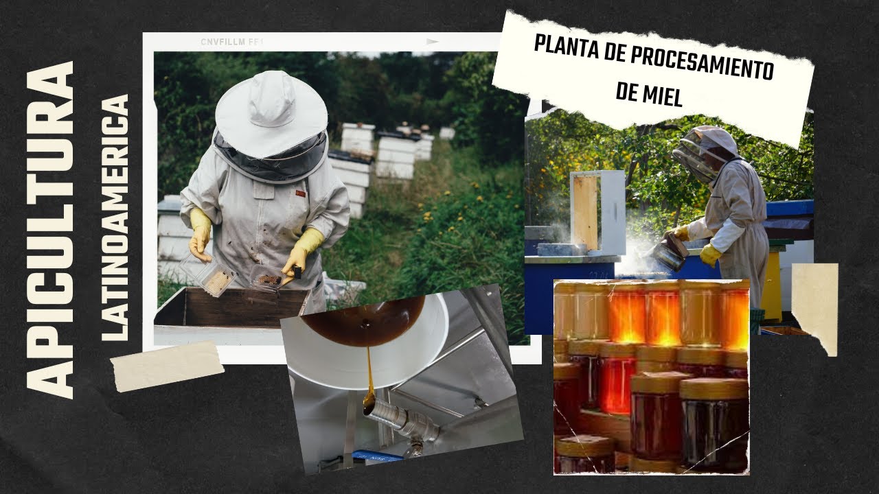 Planta de Ultima Generacion en la Apicultura de Latinoamerica