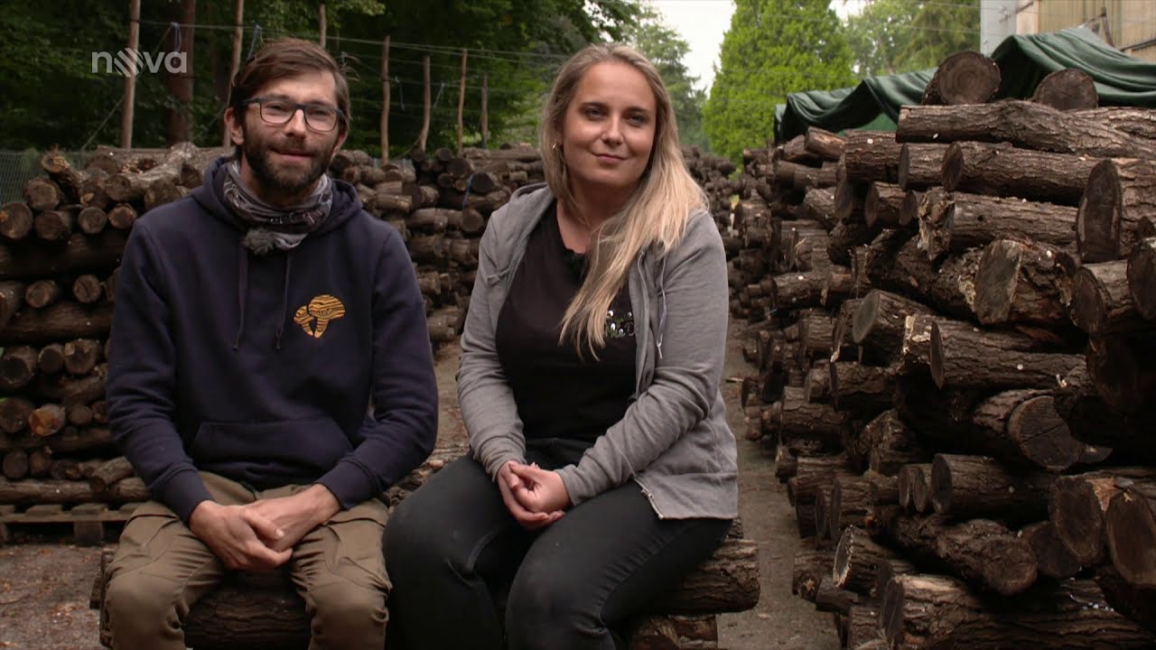 True Shiitake Magaz&iacute;n V&iacute;kend