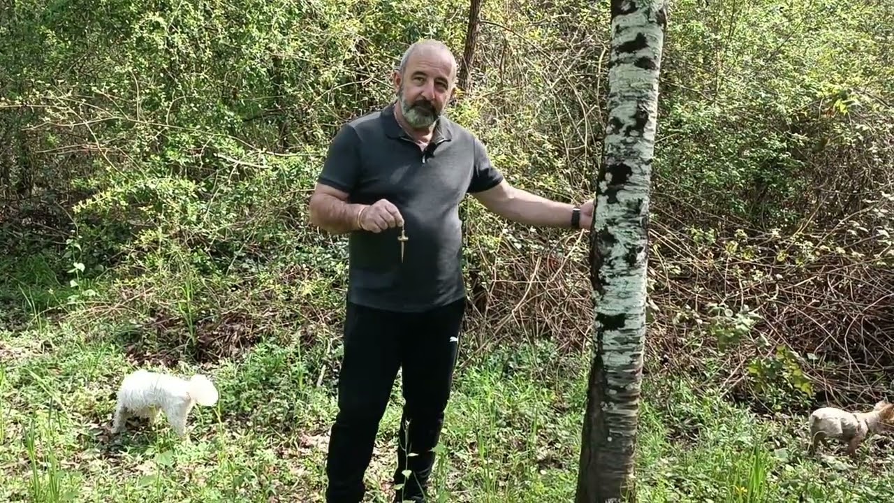 Comment créer un lien énergétique avec la nature depuis chez vous !