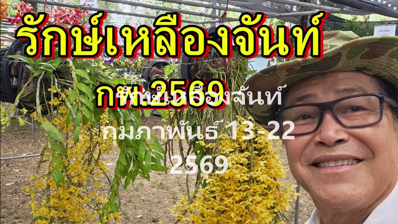 งานประกวดกล้วยไม้,รักเหลืองจันท์ ครั้งที่24,กุมภาพันธ์ 13, 2569,อนันต์เข็มทอง 0964696359
