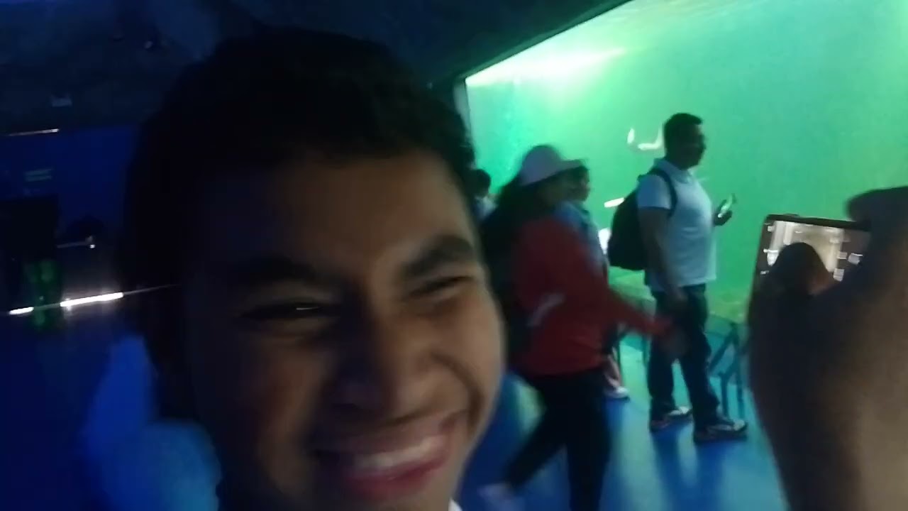 20 de febrero de 2026