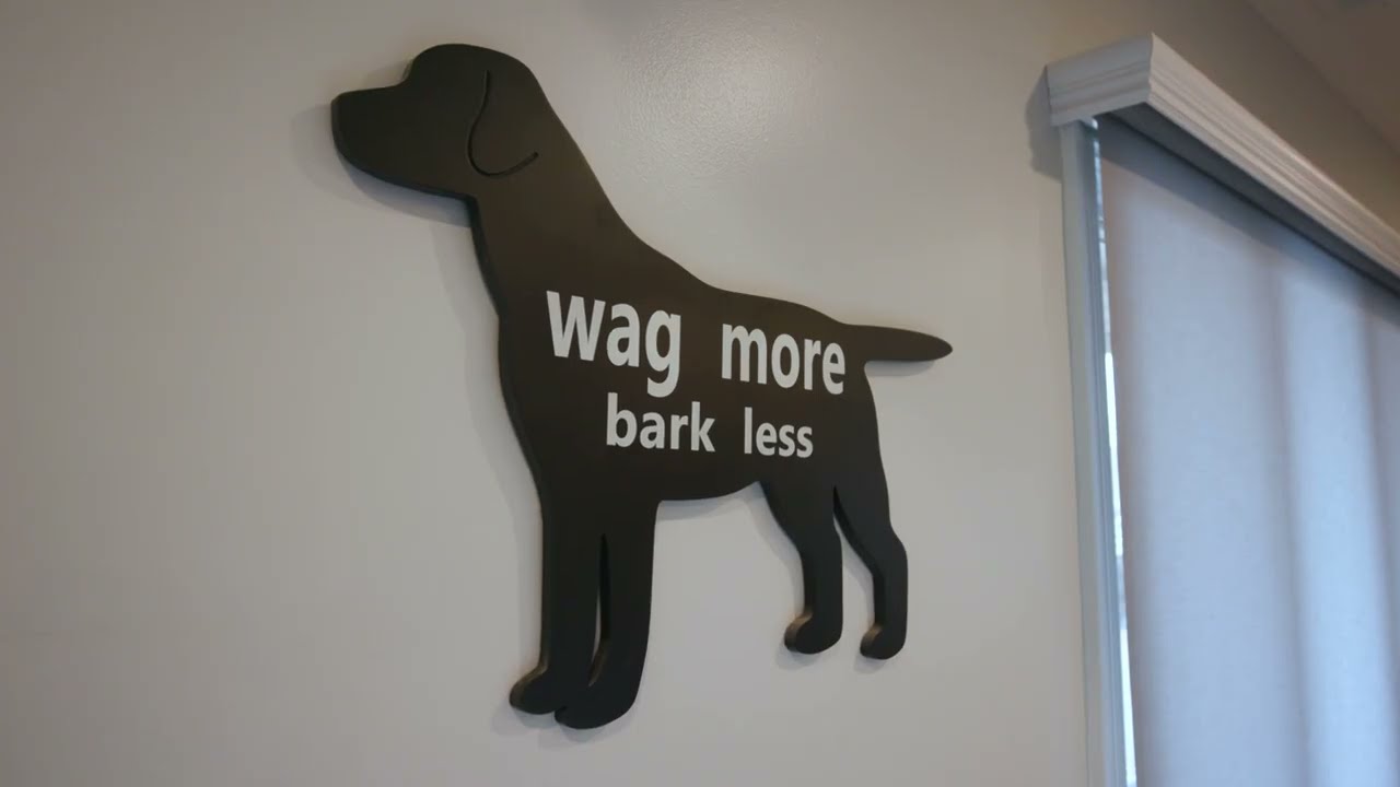 Pampered Pup'z New Facility Tour