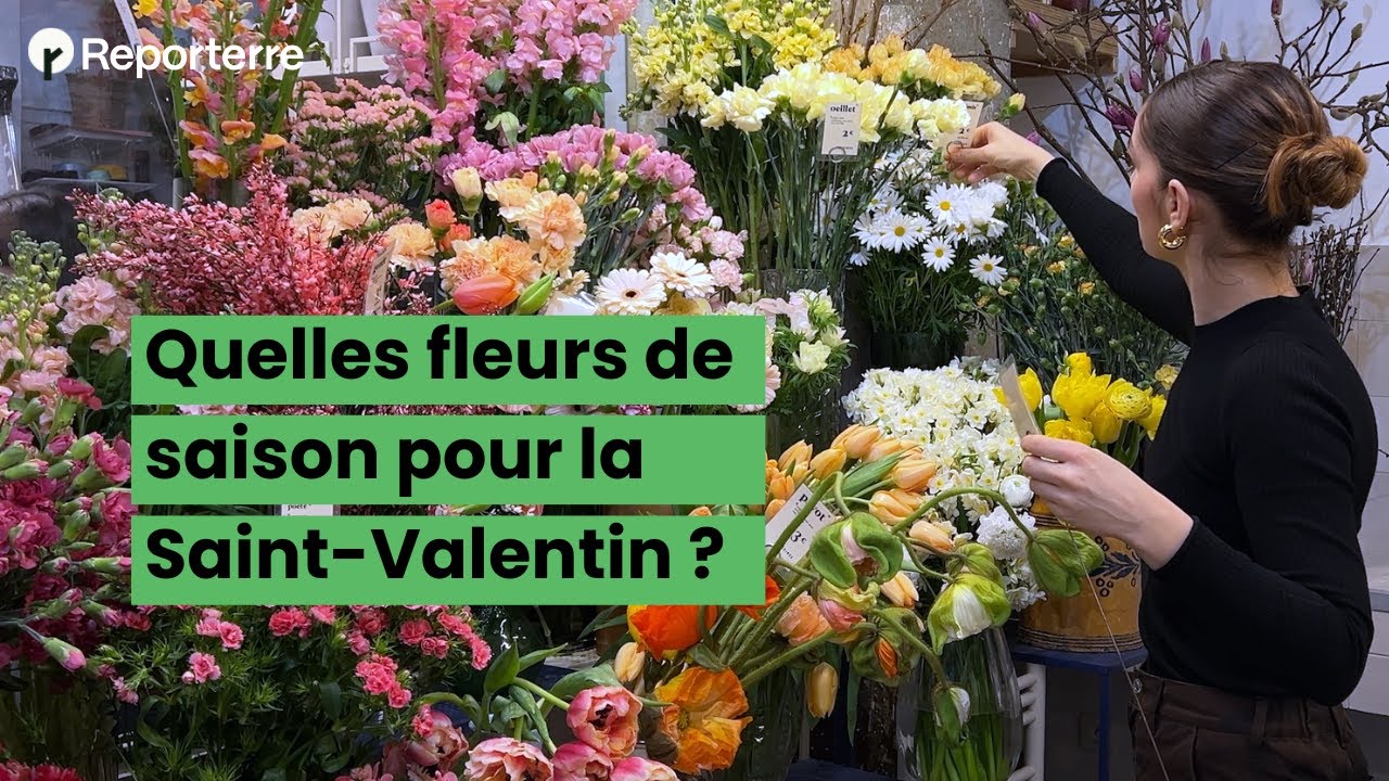 Quelles fleurs de saison pour la Saint-Valentin ?