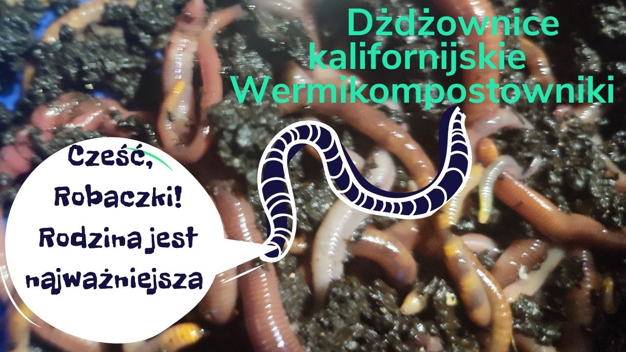 Cicho, nie przeszkadzać 🤫...