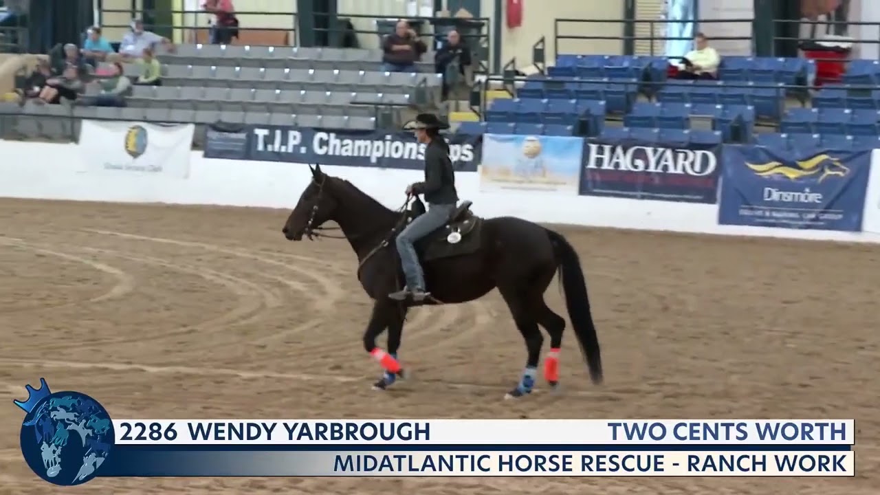 2021 Thoroughbred Makeover Finale: Ranch Work