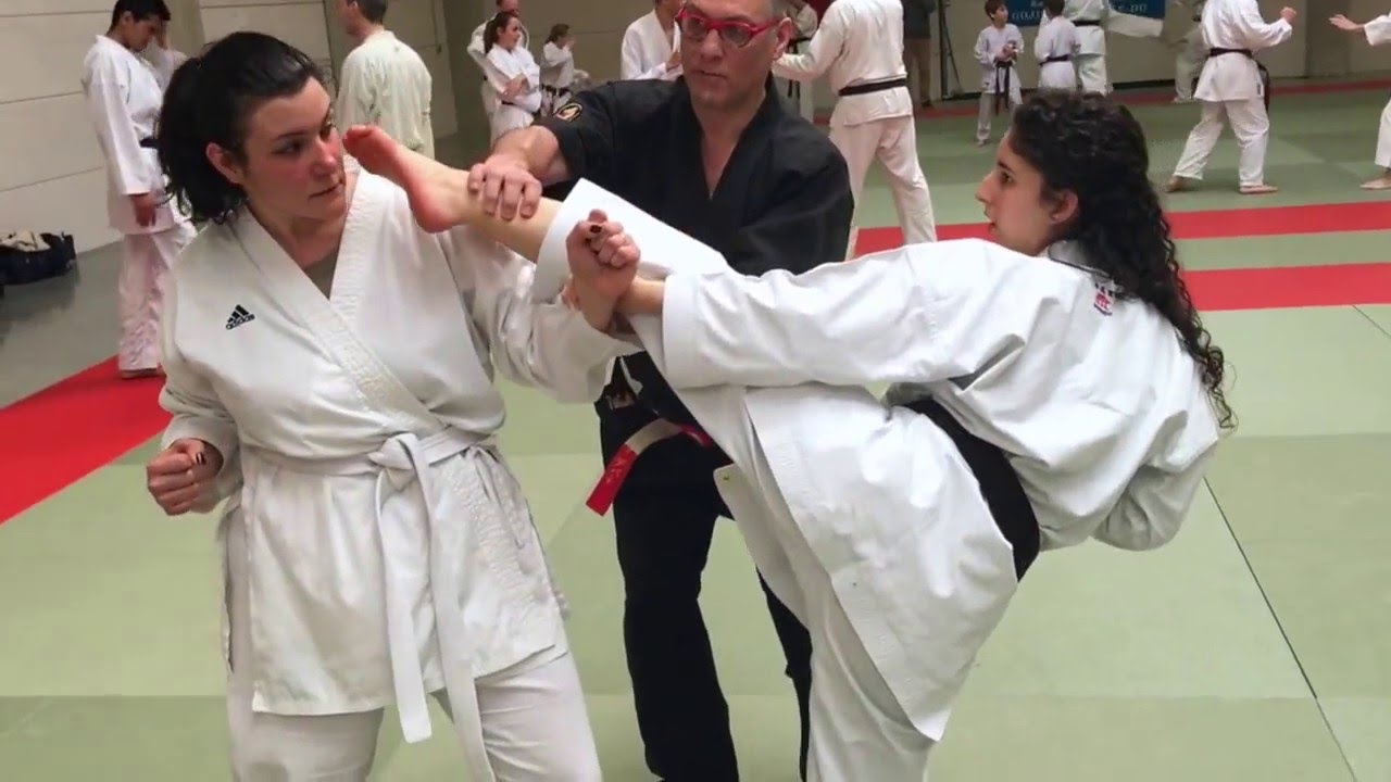 Shihan Sensei Ali Azizi 6 dan et Shihan Sensei JKy Debatty 7&deg;dan