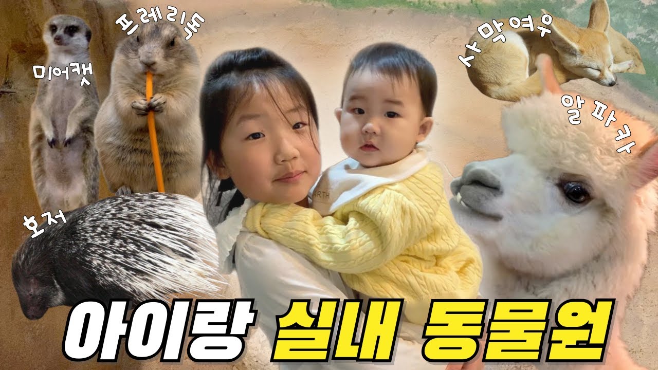 VLOG⎮실내동물원 라라쥬🐒⎮부산에서 알파카를?🦙⎮아이랑 가볼만한 곳⎮