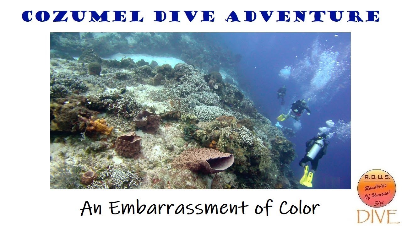 Episode 76:  Diving Cozumel (part two)