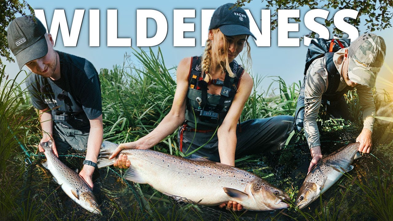 Alene I Vildmarken - Vi Udforsker Lille Vandløb Efter Store Laks & Havørreder!