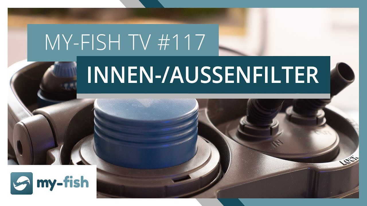 Innenfilter oder Außenfilter - Vorteile & Nachteile | my-fish TV #117