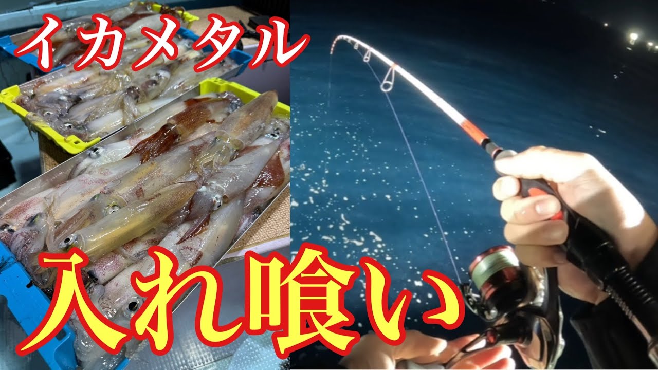 もはや漁⁉︎今期初の入れ喰いを味わいました！【イカメタル＆オモリグ】
