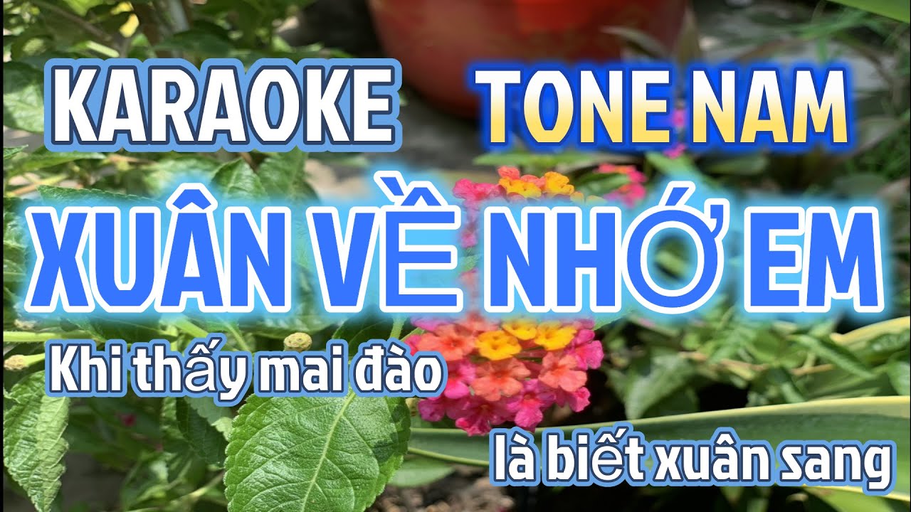 Karaoke Xuân Về Nhớ Em Tone Nam Nhạc Sống 2024 |Anh Bằng Karaoke|nhạc sống karaoke xuân năm 2024
