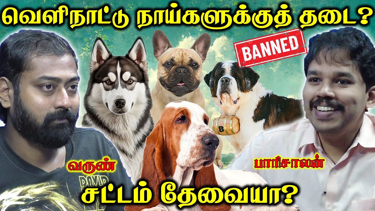 Dog breeds getting banned in India | இனி இந்த நாய்கள் இந்தியால இருக்காது | Paari Saalan and  Varun