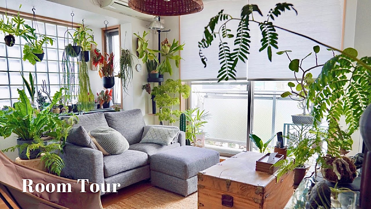 SUB[Room Tour] A room surrounded by more than 50 kinds of plants