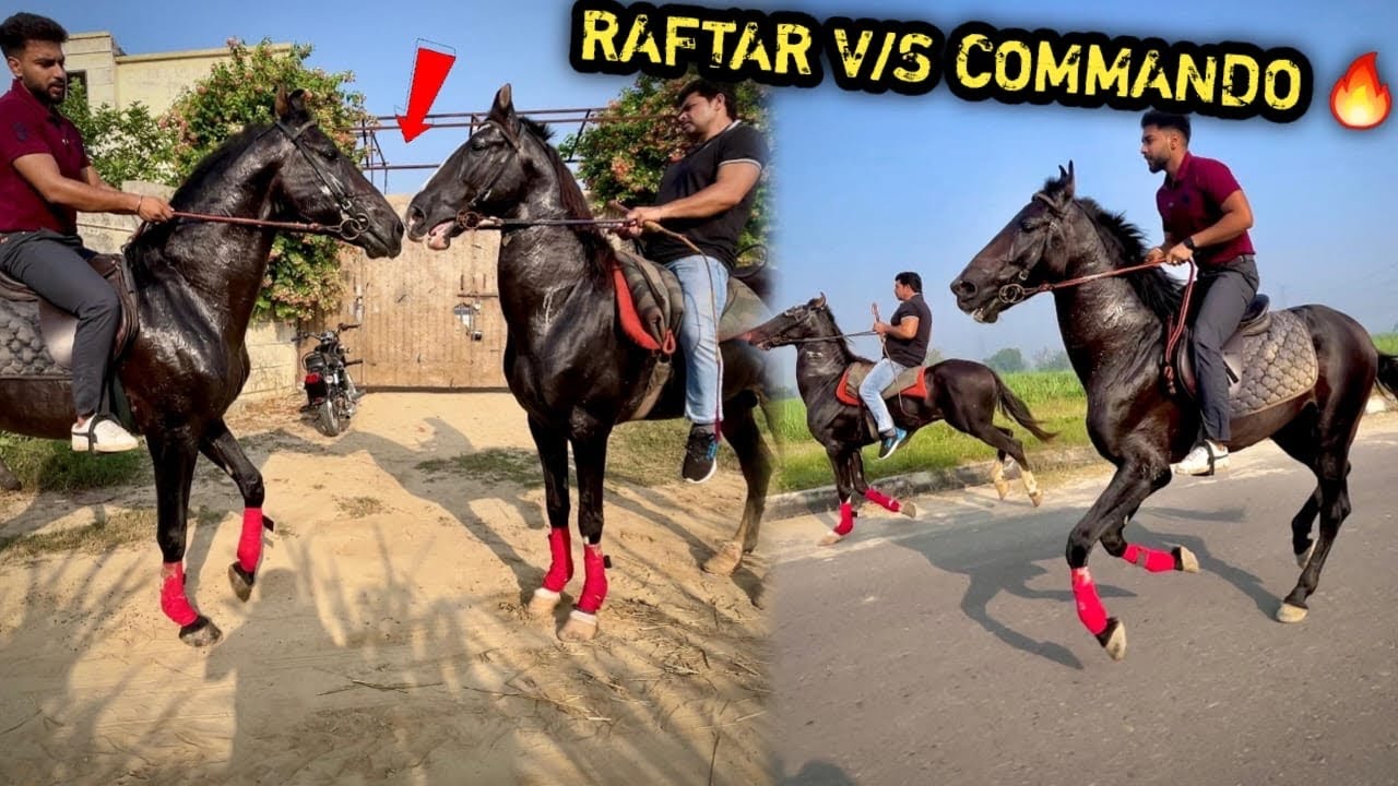 RAFTAR Or COMMANDO Ki Race Krwa Kr Dosti Krwa Di 🔥( Itna Gussa ) 😨