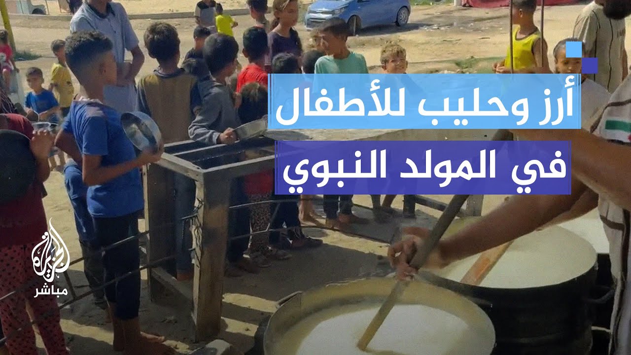 أرز وحليب للأطفال في المولد النبوي.. أم رائد تطهو الطعام بدون توقف للنازحين في مخيم الأمل