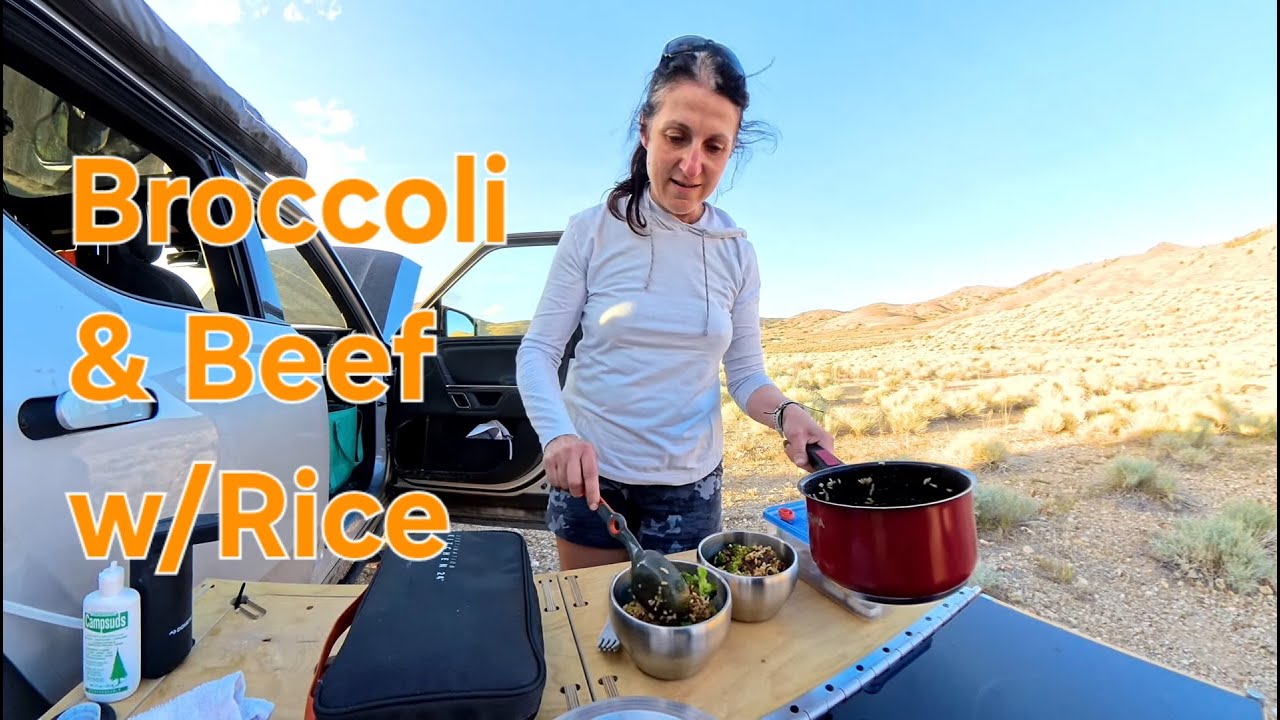 Induction Camp Cooking: Broccoli & Beef /w Rice