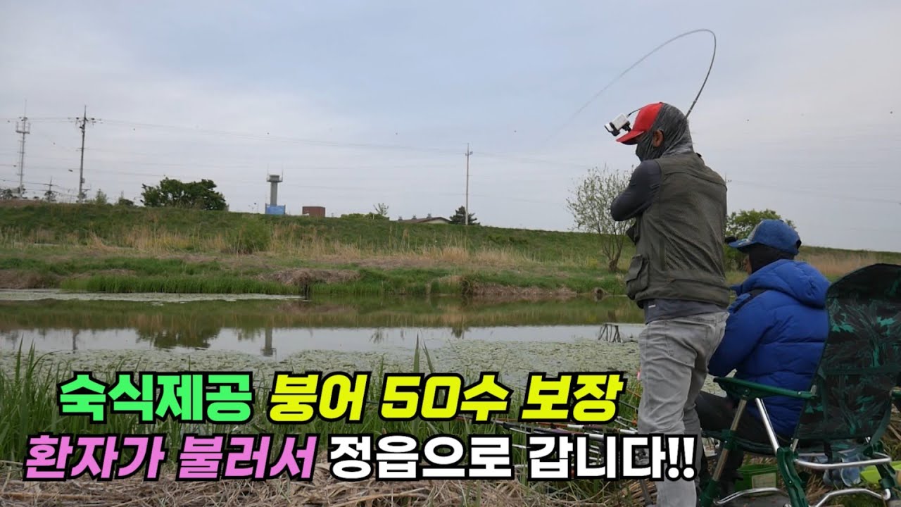 숙식제공 붕어50수 보장 환자가 불러서 정읍으로 갑니다!! 어리연밭 붕어낚시