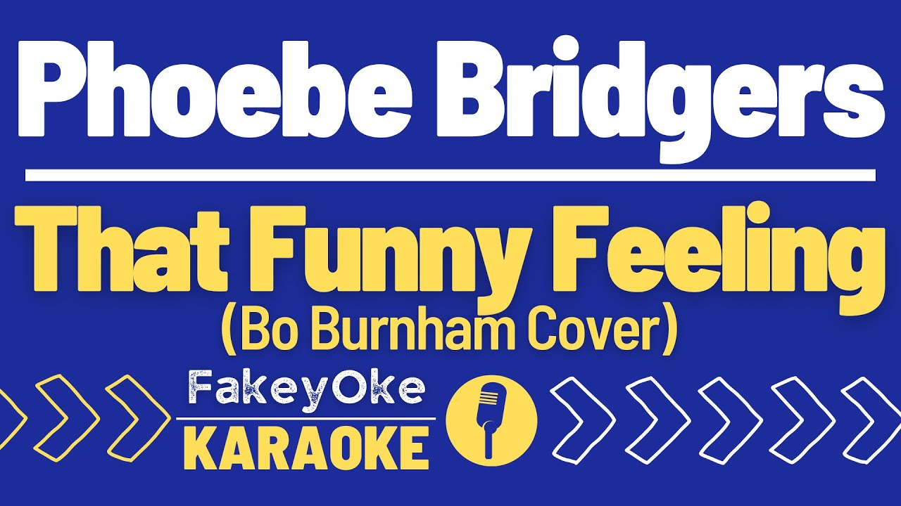 Phoebe Bridgers - That Funny Feeling (Bo Burnham Cover) [Karaoke]