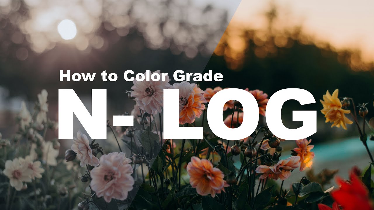 How to Color Grade N-Log Footage
