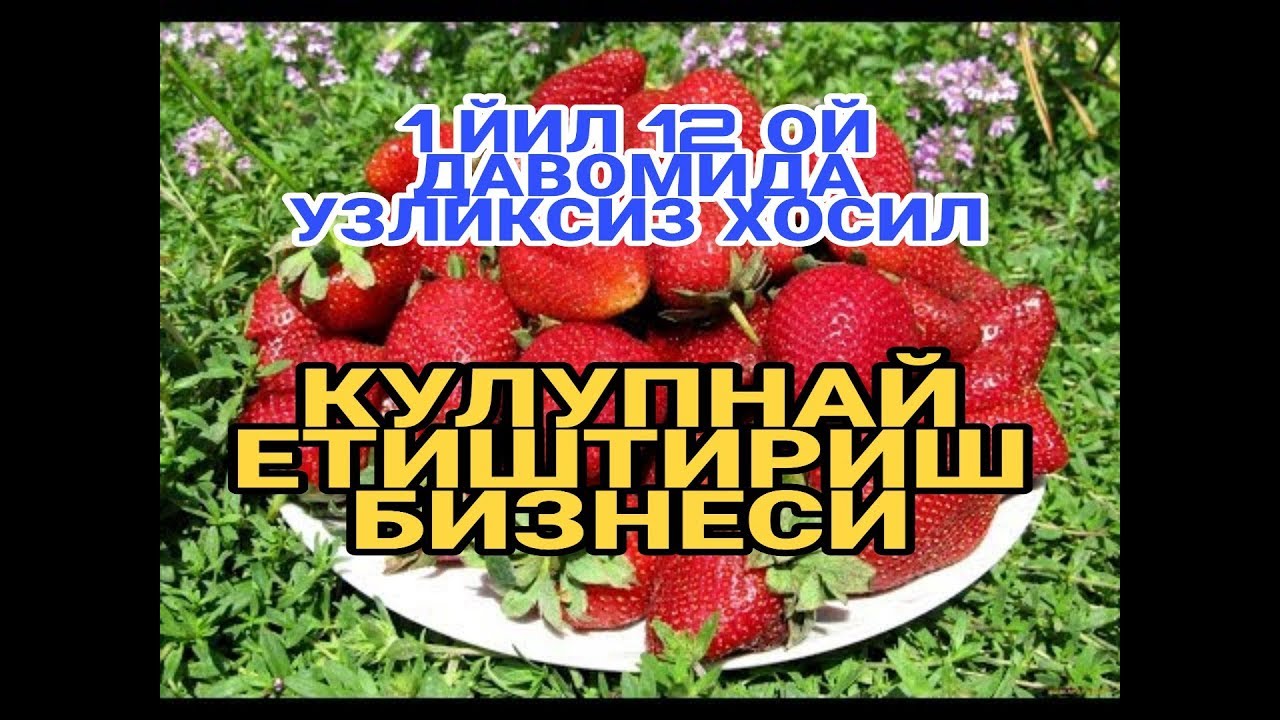 КУЛУПНАЙ ЕТИШТИРИШ БИЗНЕСИ