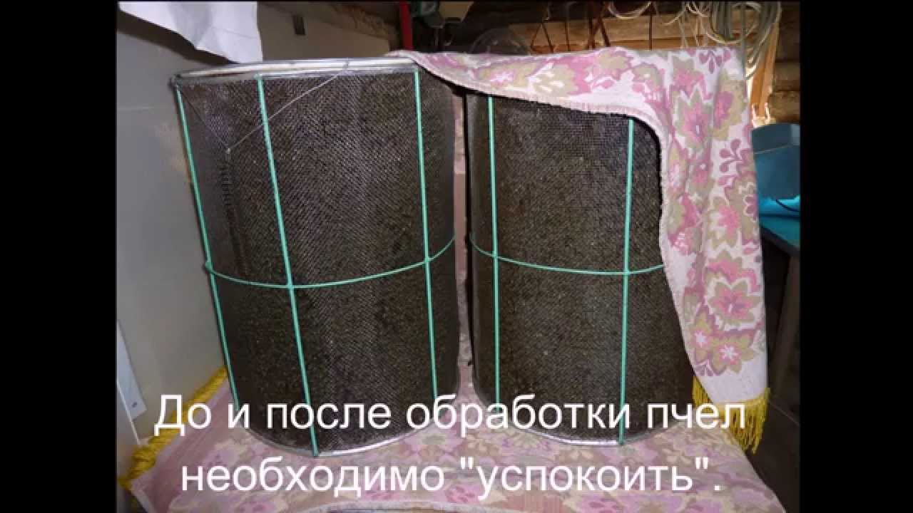 Клещ Варроа в термокамере