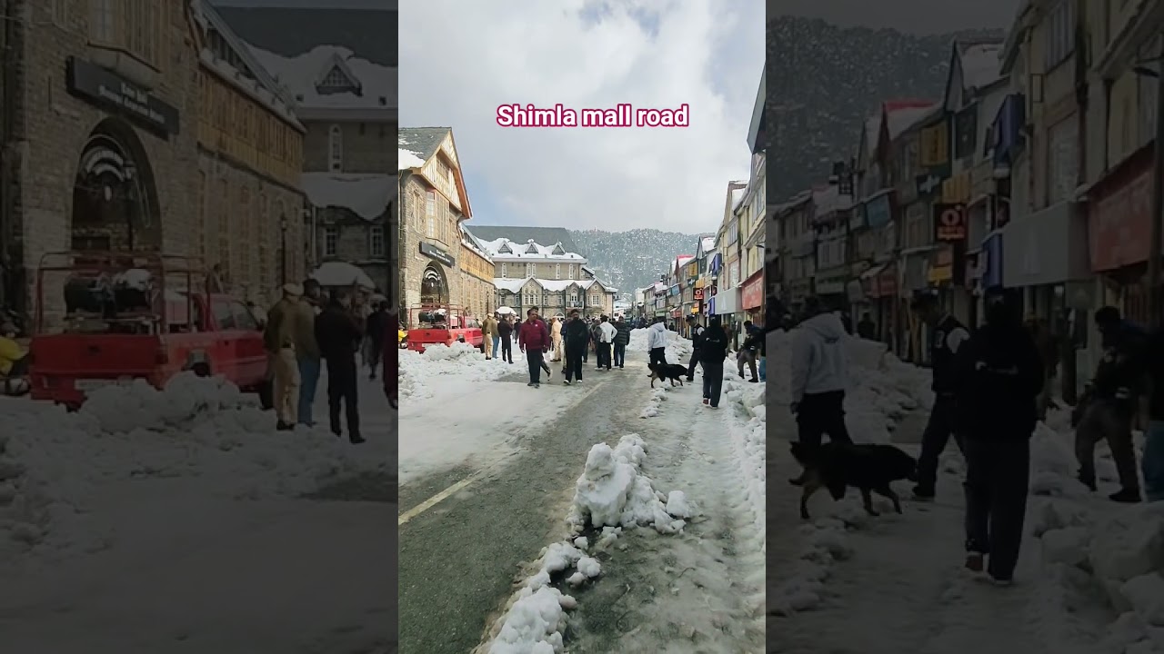 shimla mall road and ridge #snow #simla #mallroad #tourist #touristplaces