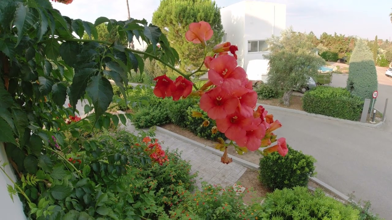 Kinetta Beach Resort & Spa