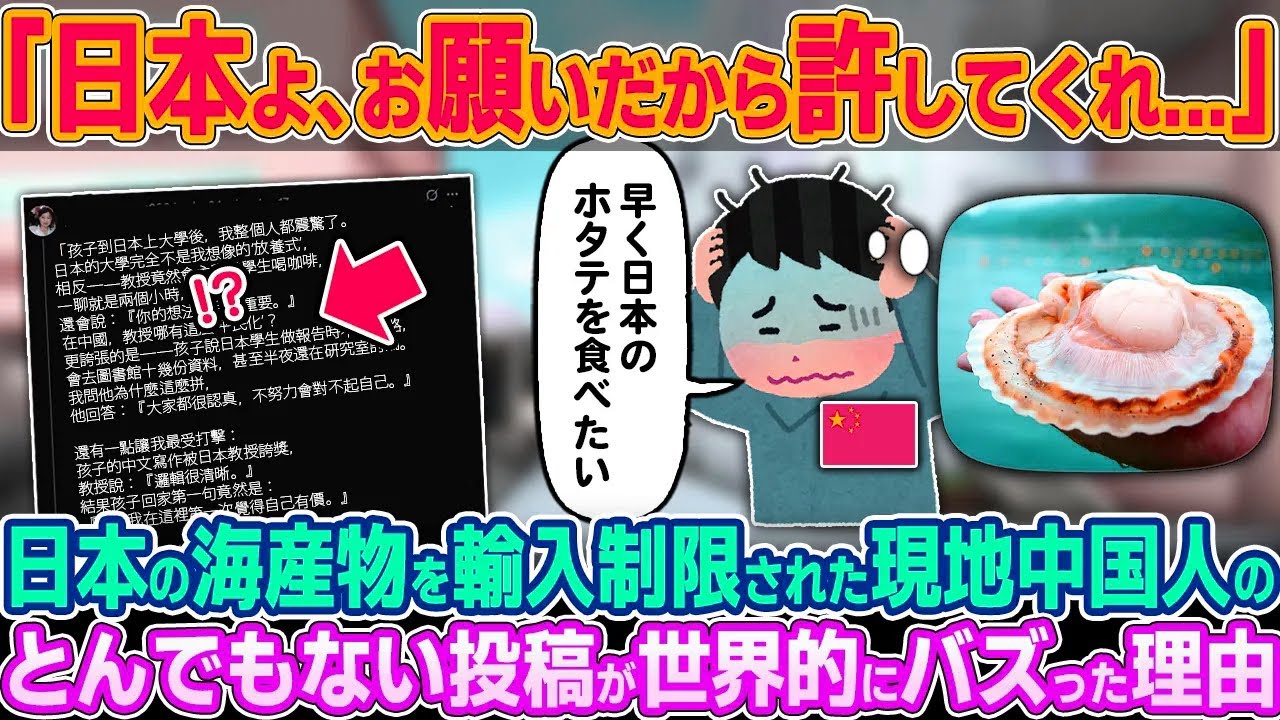 「日本のホタテが食べたいのに…」日本の海産物を輸入制限されている現地中国人がSNSに放ったとんでもない投稿が世界的にバズった理由【ゆっくり解説】【海外の反応】