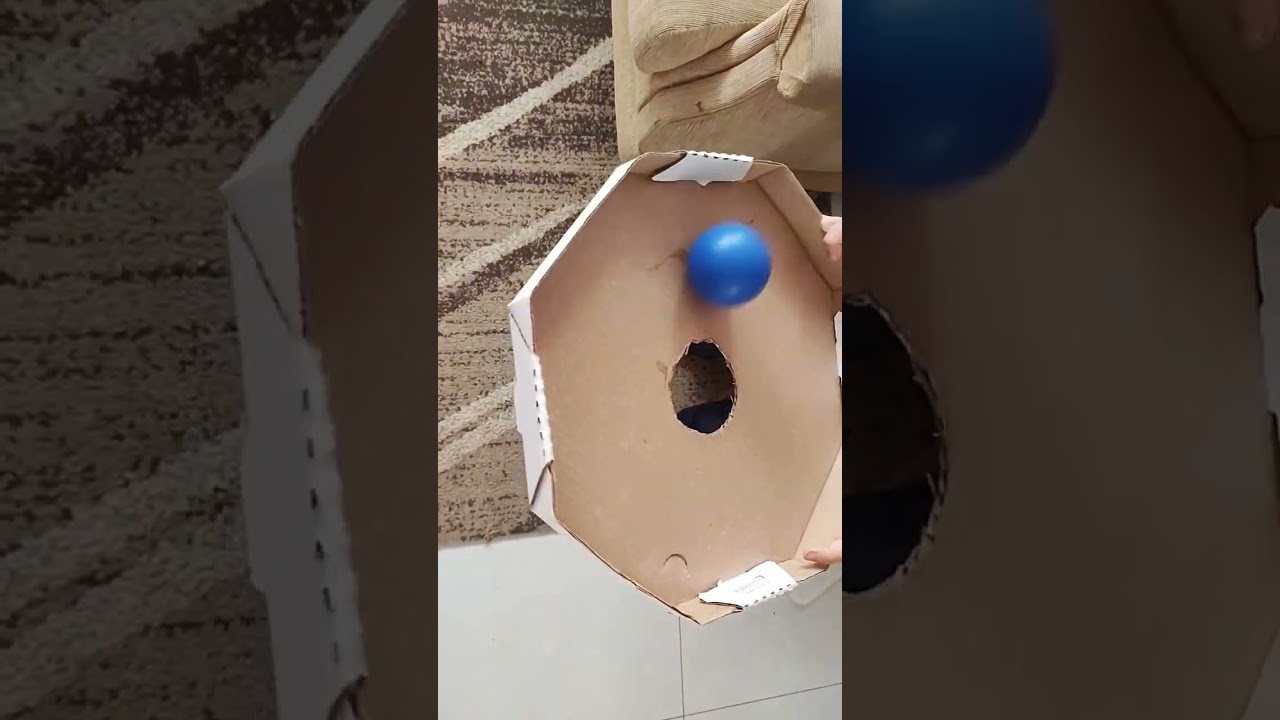 Ferias em casa - Brincadeira com bola e Caixa de pizza #m&atilde;es #educa&ccedil;&atilde;oinfantil #brincar