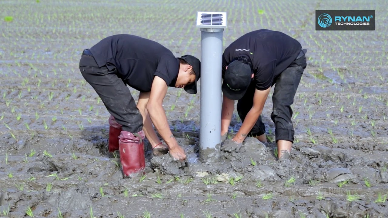 RYNAN® Climate Smart Rice Farming in Mekong Delta