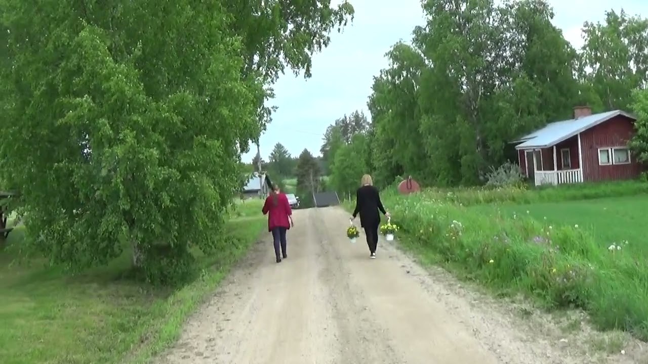 Viola  Kesäkahvila Tiistenjoki