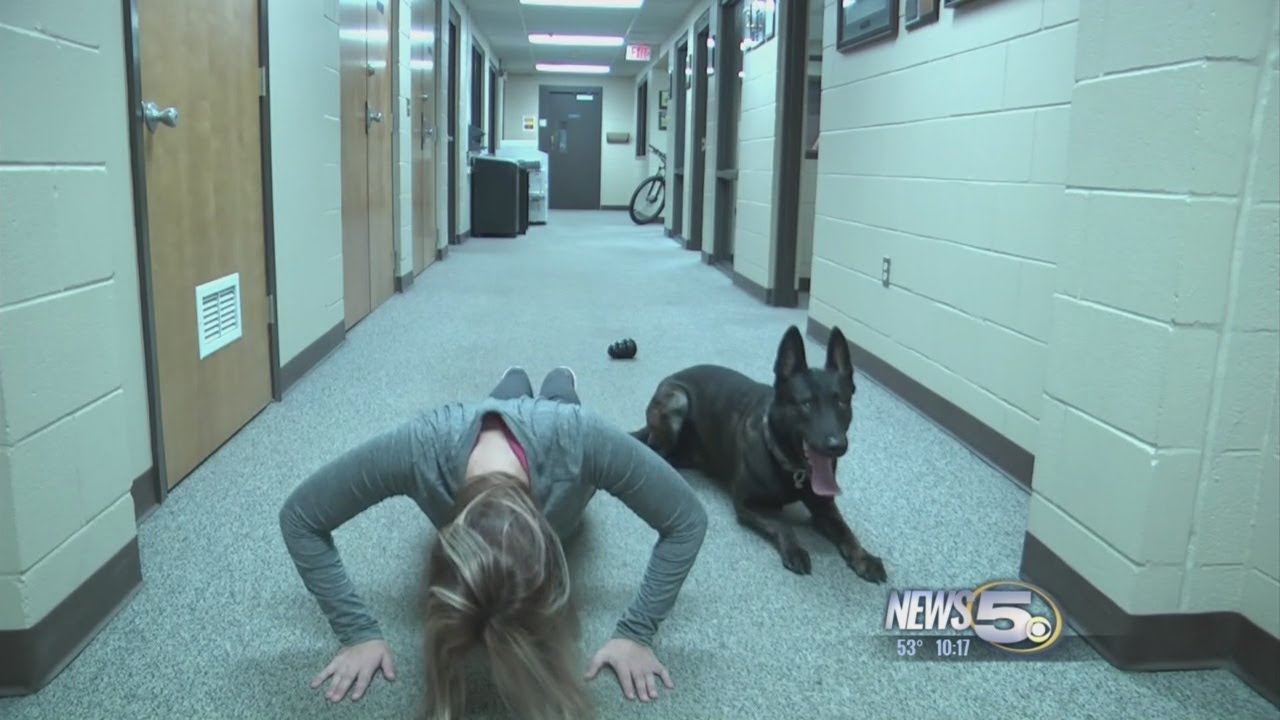 K9 Push-Up Challenge