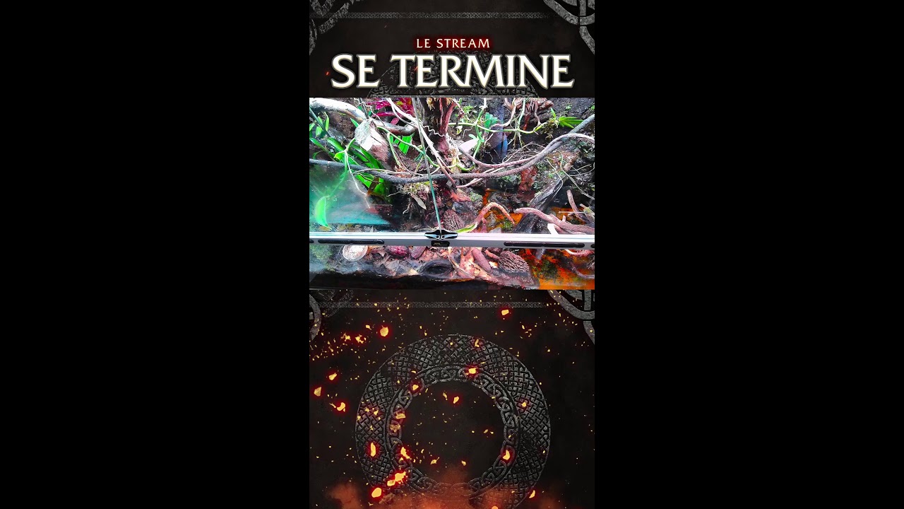 🔥MERCREDREAM🔥Le bayou pour les foux ! DIXPER EN PLACE !  Rejoins moi !