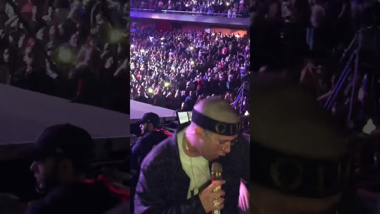 Bad bunny gets off the stage to dance with fans