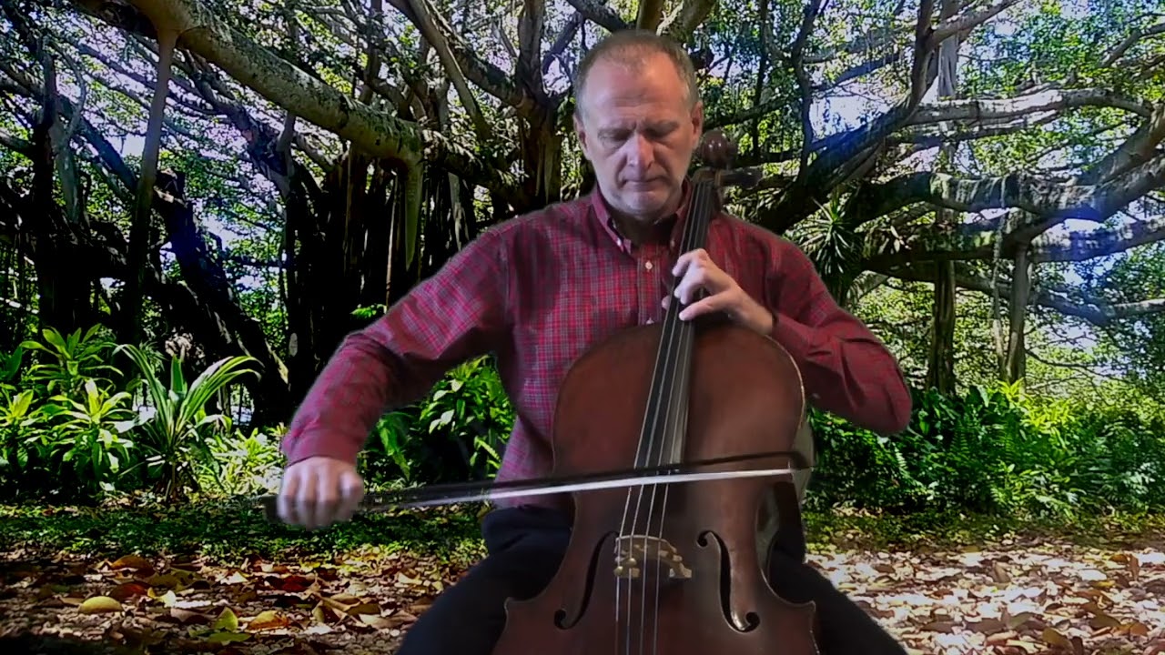 Hungarian Rhapsody # 2 Cello Cover