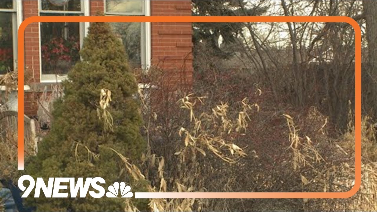 Now's the time to prepare for spring garden clean-up
