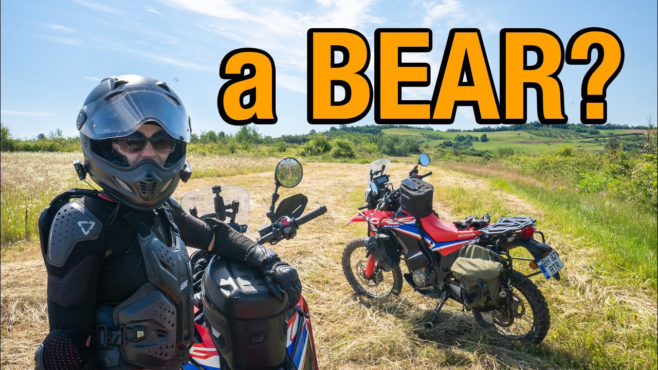 The only danger that I fear is a bear, she said | Romanians on the Road